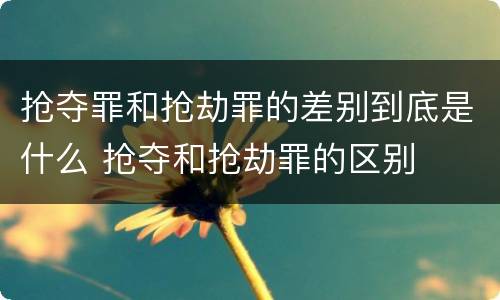 抢夺罪和抢劫罪的差别到底是什么 抢夺和抢劫罪的区别