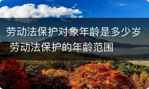 劳动法保护对象年龄是多少岁 劳动法保护的年龄范围