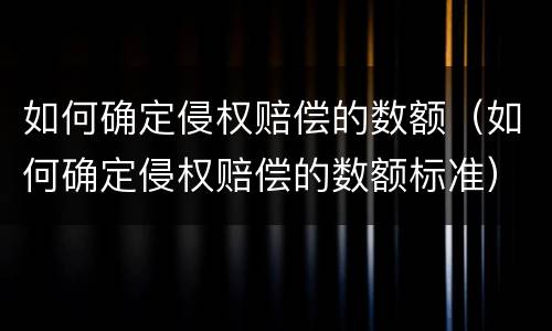 如何确定侵权赔偿的数额（如何确定侵权赔偿的数额标准）