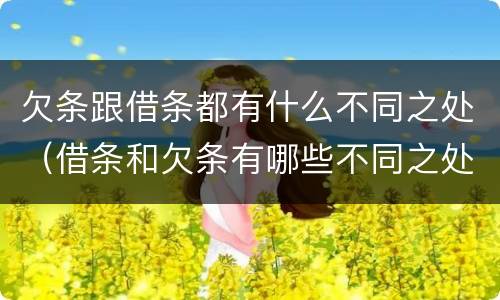 欠条跟借条都有什么不同之处（借条和欠条有哪些不同之处）
