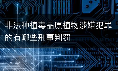非法种植毒品原植物涉嫌犯罪的有哪些刑事判罚