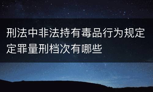 刑法中非法持有毒品行为规定定罪量刑档次有哪些