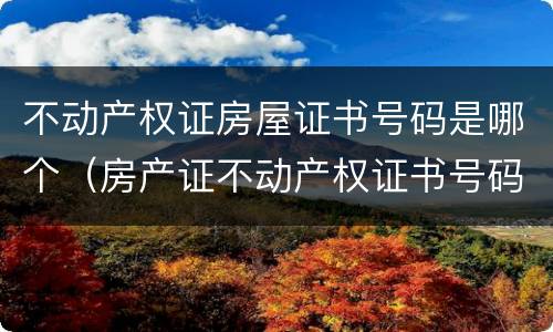 不动产权证房屋证书号码是哪个（房产证不动产权证书号码是哪个）