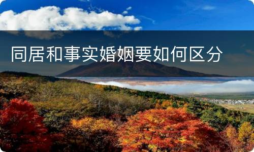 同居和事实婚姻要如何区分