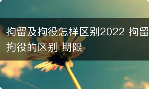 拘留及拘役怎样区别2022 拘留拘役的区别 期限