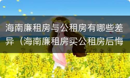 海南廉租房与公租房有哪些差异（海南廉租房买公租房后悔了）
