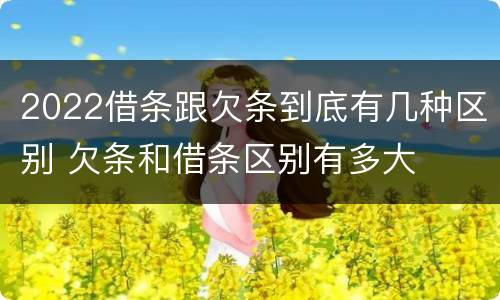 2022借条跟欠条到底有几种区别 欠条和借条区别有多大