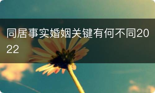 同居事实婚姻关键有何不同2022