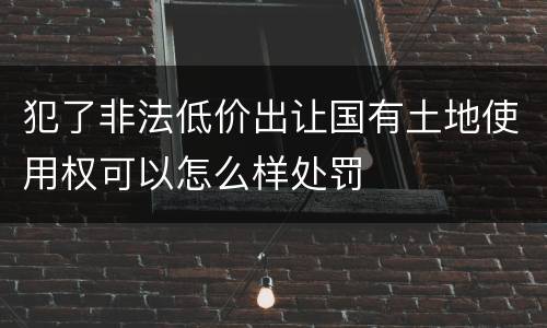 犯了非法低价出让国有土地使用权可以怎么样处罚