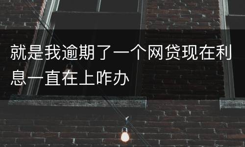 就是我逾期了一个网贷现在利息一直在上咋办