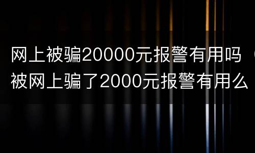 网上被骗20000元报警有用吗（被网上骗了2000元报警有用么）