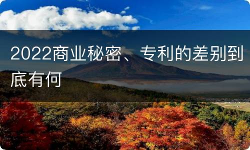 2022商业秘密、专利的差别到底有何