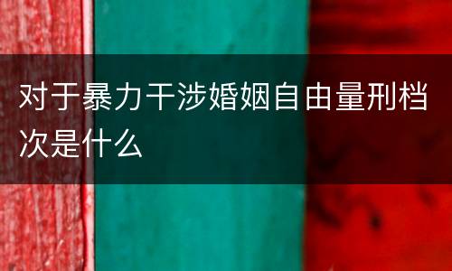 对于暴力干涉婚姻自由量刑档次是什么