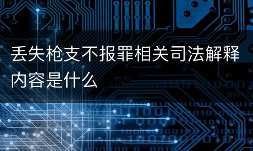 丢失枪支不报罪相关司法解释内容是什么