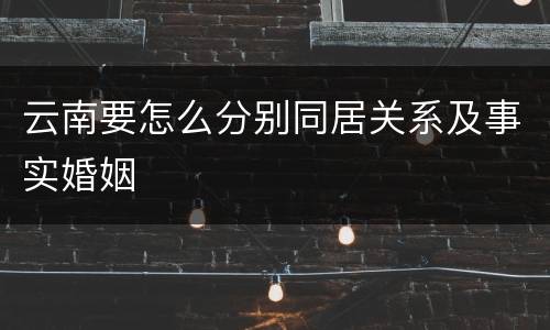云南要怎么分别同居关系及事实婚姻