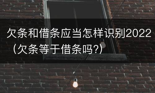 欠条和借条应当怎样识别2022（欠条等于借条吗?）
