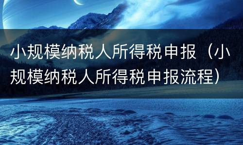 小规模纳税人所得税申报（小规模纳税人所得税申报流程）