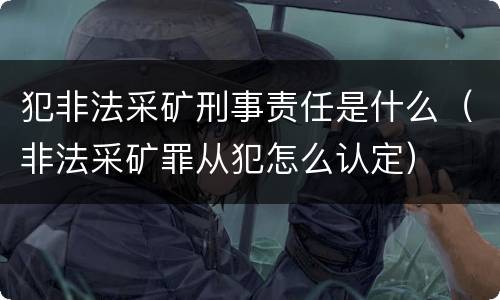 犯非法采矿刑事责任是什么（非法采矿罪从犯怎么认定）