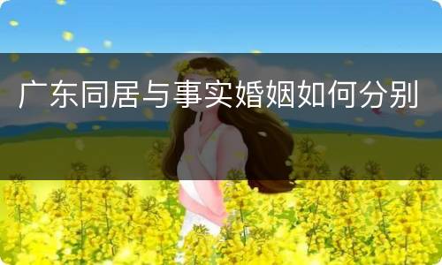 广东同居与事实婚姻如何分别