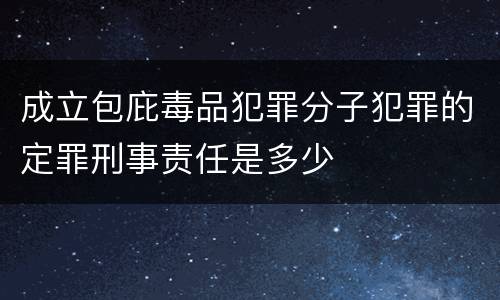 成立包庇毒品犯罪分子犯罪的定罪刑事责任是多少