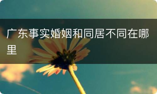 广东事实婚姻和同居不同在哪里