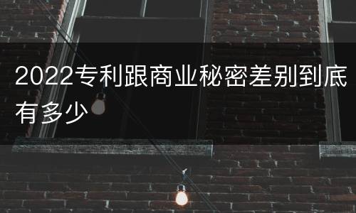 2022专利跟商业秘密差别到底有多少