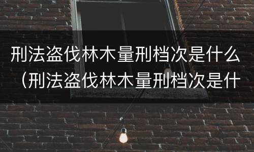 刑法盗伐林木量刑档次是什么（刑法盗伐林木量刑档次是什么）
