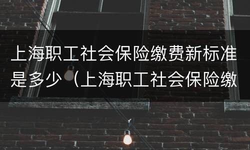 上海职工社会保险缴费新标准是多少（上海职工社会保险缴费新标准是多少年）