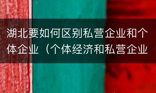 湖北要如何区别私营企业和个体企业（个体经济和私营企业的区别）