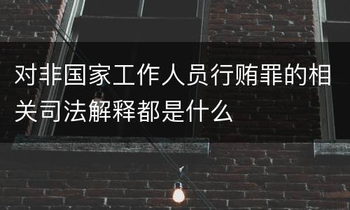 对非国家工作人员行贿罪的相关司法解释都是什么