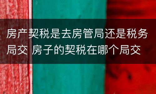 房产契税是去房管局还是税务局交 房子的契税在哪个局交