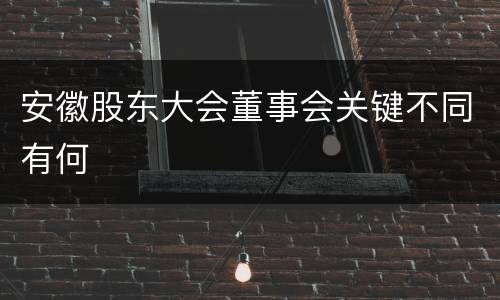 安徽股东大会董事会关键不同有何