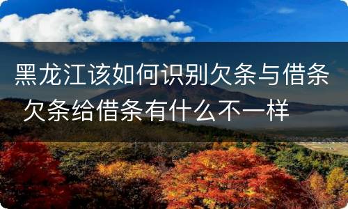 黑龙江该如何识别欠条与借条 欠条给借条有什么不一样