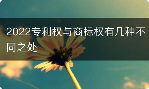 2022专利权与商标权有几种不同之处