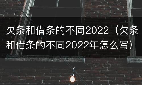 欠条和借条的不同2022（欠条和借条的不同2022年怎么写）