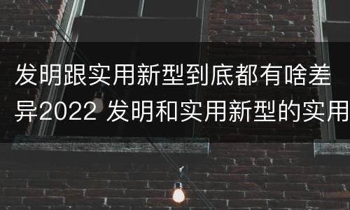 发明跟实用新型到底都有啥差异2022 发明和实用新型的实用性包括