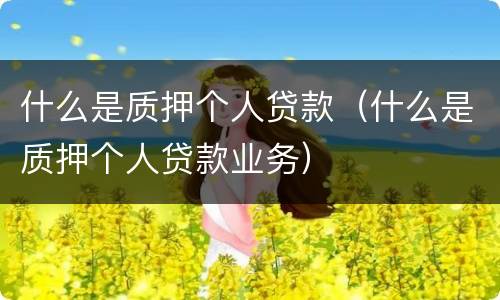 什么是质押个人贷款（什么是质押个人贷款业务）