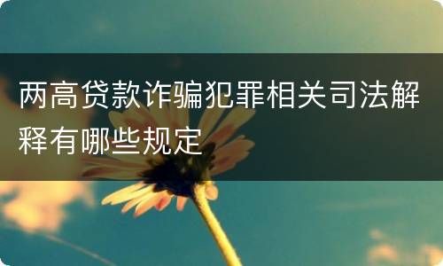 两高贷款诈骗犯罪相关司法解释有哪些规定