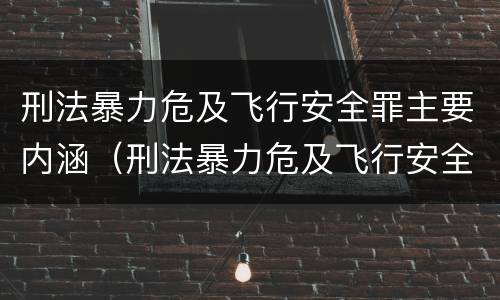 刑法暴力危及飞行安全罪主要内涵（刑法暴力危及飞行安全罪主要内涵包括）