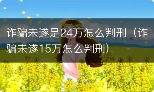 诈骗未遂是24万怎么判刑（诈骗未遂15万怎么判刑）