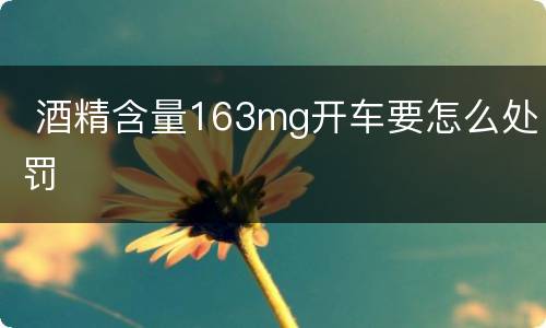  酒精含量163mg开车要怎么处罚