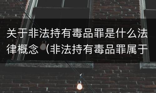 关于非法持有毒品罪是什么法律概念（非法持有毒品罪属于什么类型）