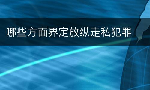 哪些方面界定放纵走私犯罪