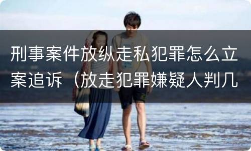 刑事案件放纵走私犯罪怎么立案追诉（放走犯罪嫌疑人判几年）