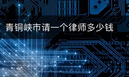 青铜峡市请一个律师多少钱