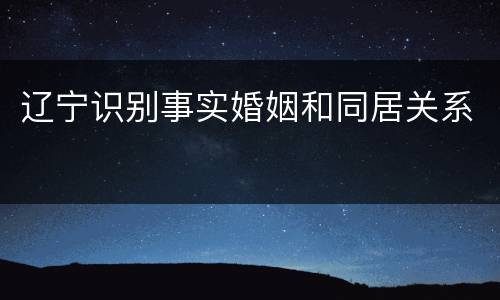辽宁识别事实婚姻和同居关系