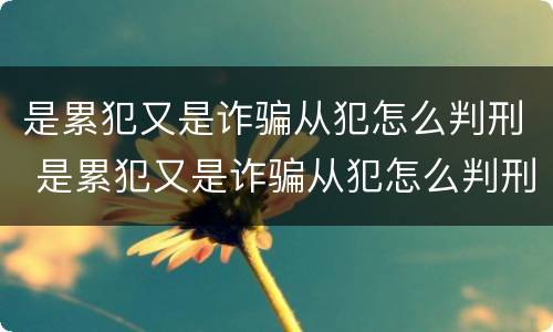 是累犯又是诈骗从犯怎么判刑 是累犯又是诈骗从犯怎么判刑的