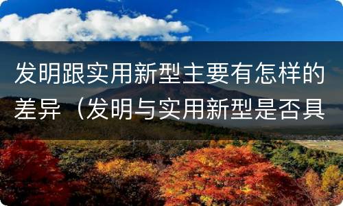 发明跟实用新型主要有怎样的差异（发明与实用新型是否具有实用性）