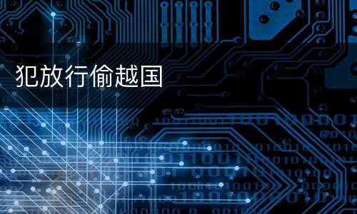 犯放行偷越国