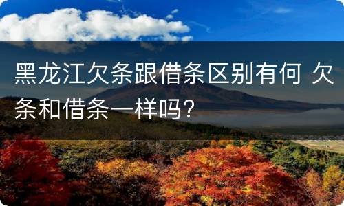 黑龙江欠条跟借条区别有何 欠条和借条一样吗?